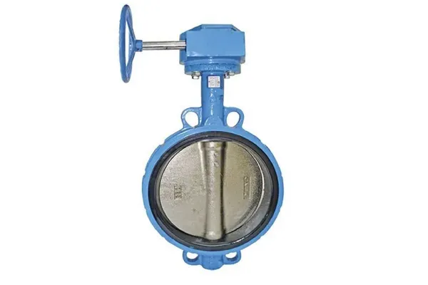 550mm Butterfly Valve with Gear Bo Garg Engineers